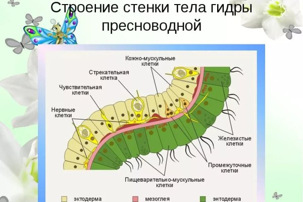 Кракен маркетплейс в тг