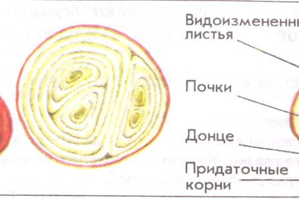 Не могу зайти на сайт кракен